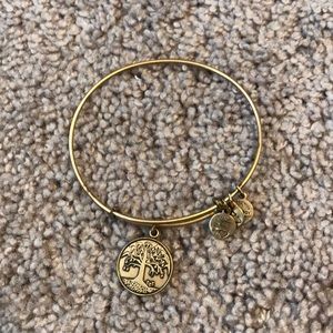 Tree of life Alex and ani
